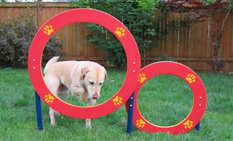 Double Hoop Jump