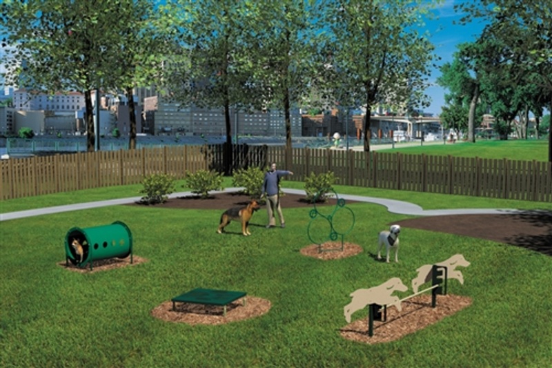 Novice Dog Park Kit - 4 Piece
